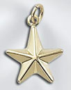 G.F. CHARM PUFFED STAR
