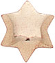 14KY STAR OF DAVID EARRING