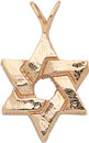 S.S. CAST STAR OF DAVID