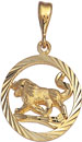 14KY ZODIAC LEO 07/24 TO 08/23