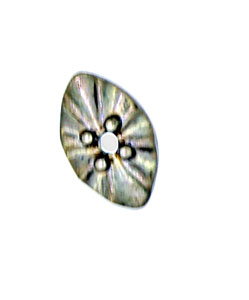 14KW MAR SHAPE FAC PLATE 3.5x5.5mm 1/.01