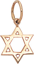 14KW SHINY STAR OF DAVID 11.5mm