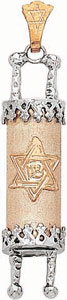 14KY TORAH CHARM W/STAR OF DAVID