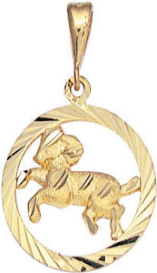 14KY ZODIAC CAPRICORN 12/22 TO 01/20